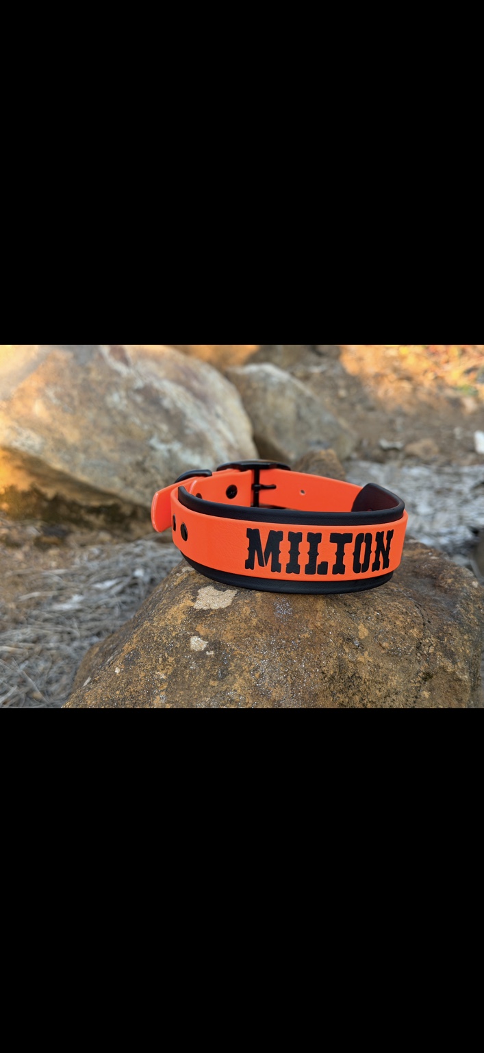 Milton: Bright orange with black lettering.