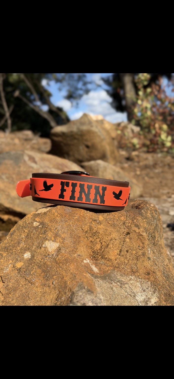 Finn: Orange with a personalized name and bird details.