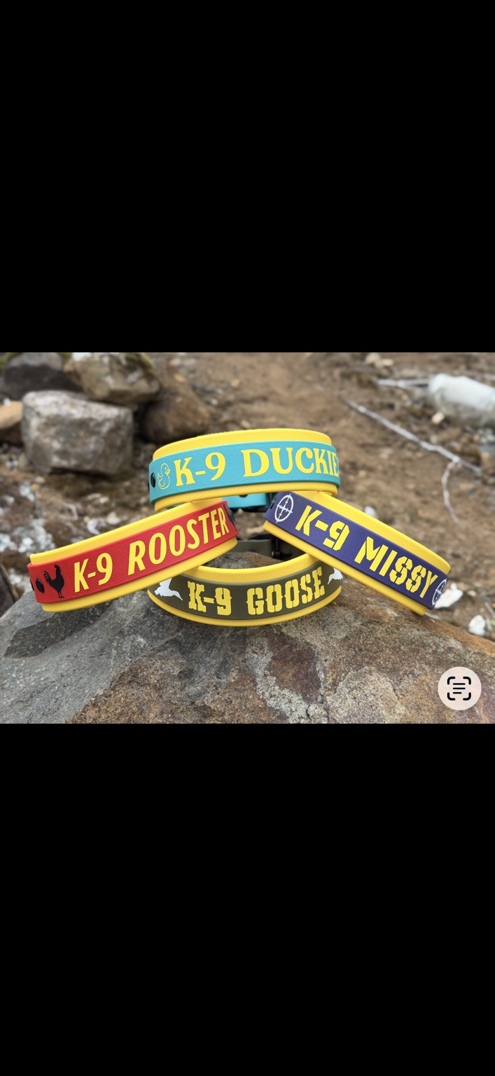K9 collection: A mix of colors, lettering and custom designs.