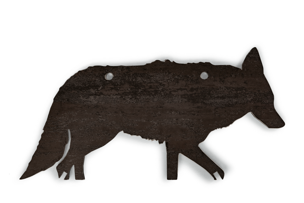 Coyote, 3/8″